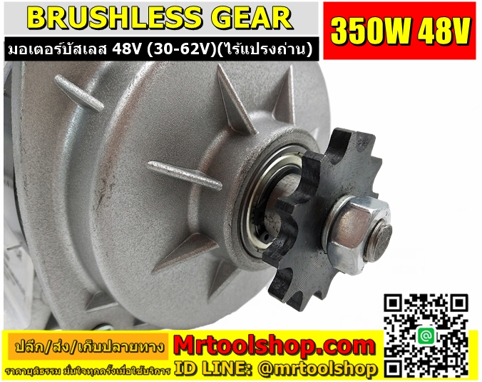 Brushless Motor DC 350W 48V